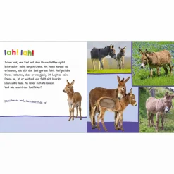 Hör mal rein, wer kann das sein? Auf der Weide