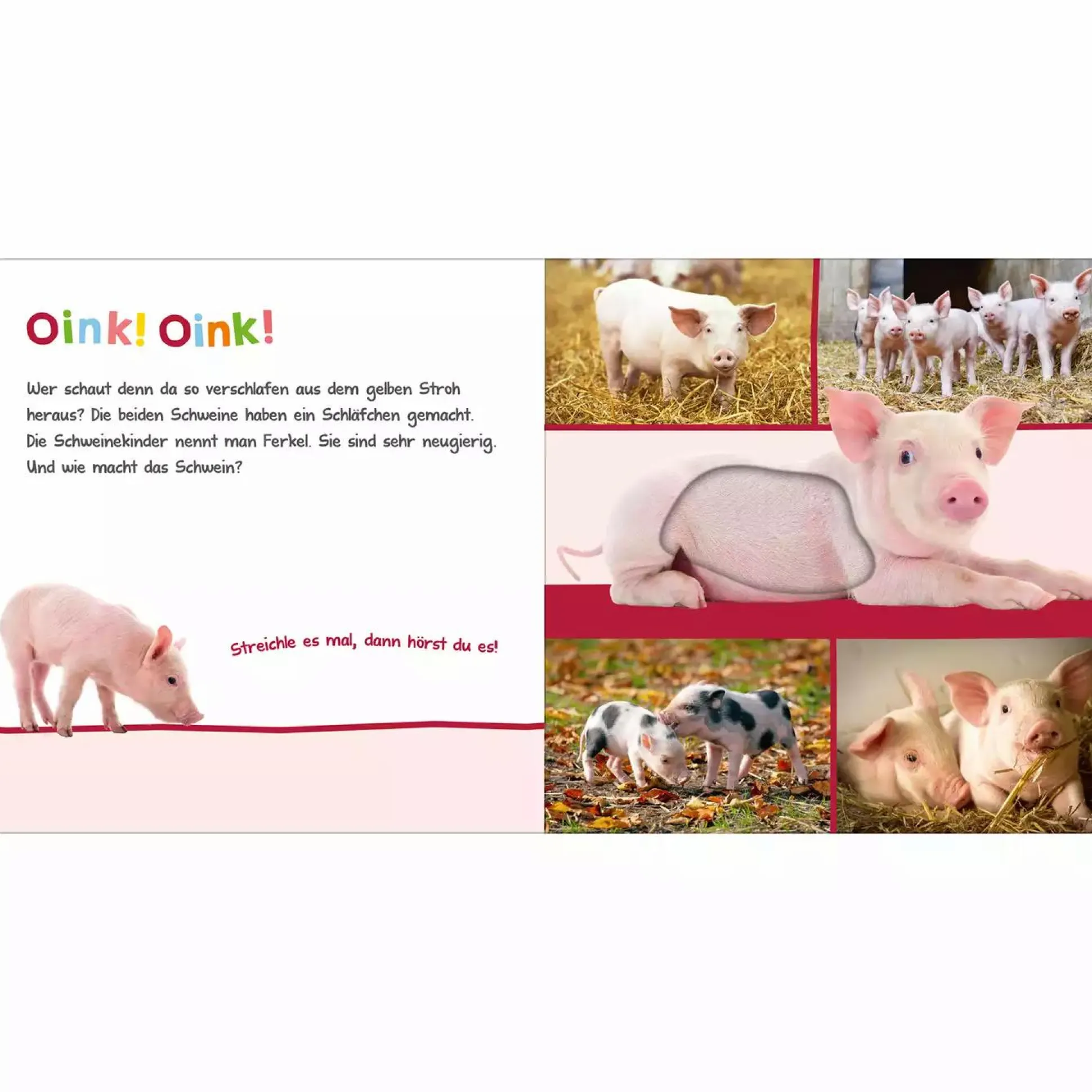 Hör mal rein, wer kann das sein? Im Stall