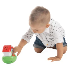 3in1 Mobile Bienenhaus mit Projektion