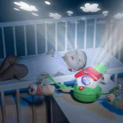 3in1 Mobile Bienenhaus mit Projektion