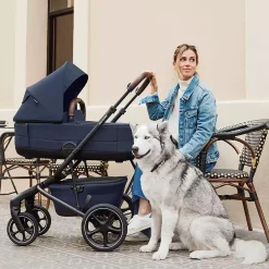 Jimmey Wanne Indigo Blue