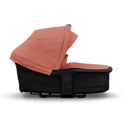 Kombi-Einheit Basis Lachs