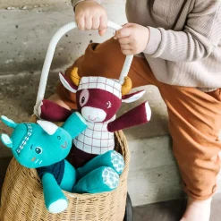 Kuscheltier Marius mit Geschenkverpackung