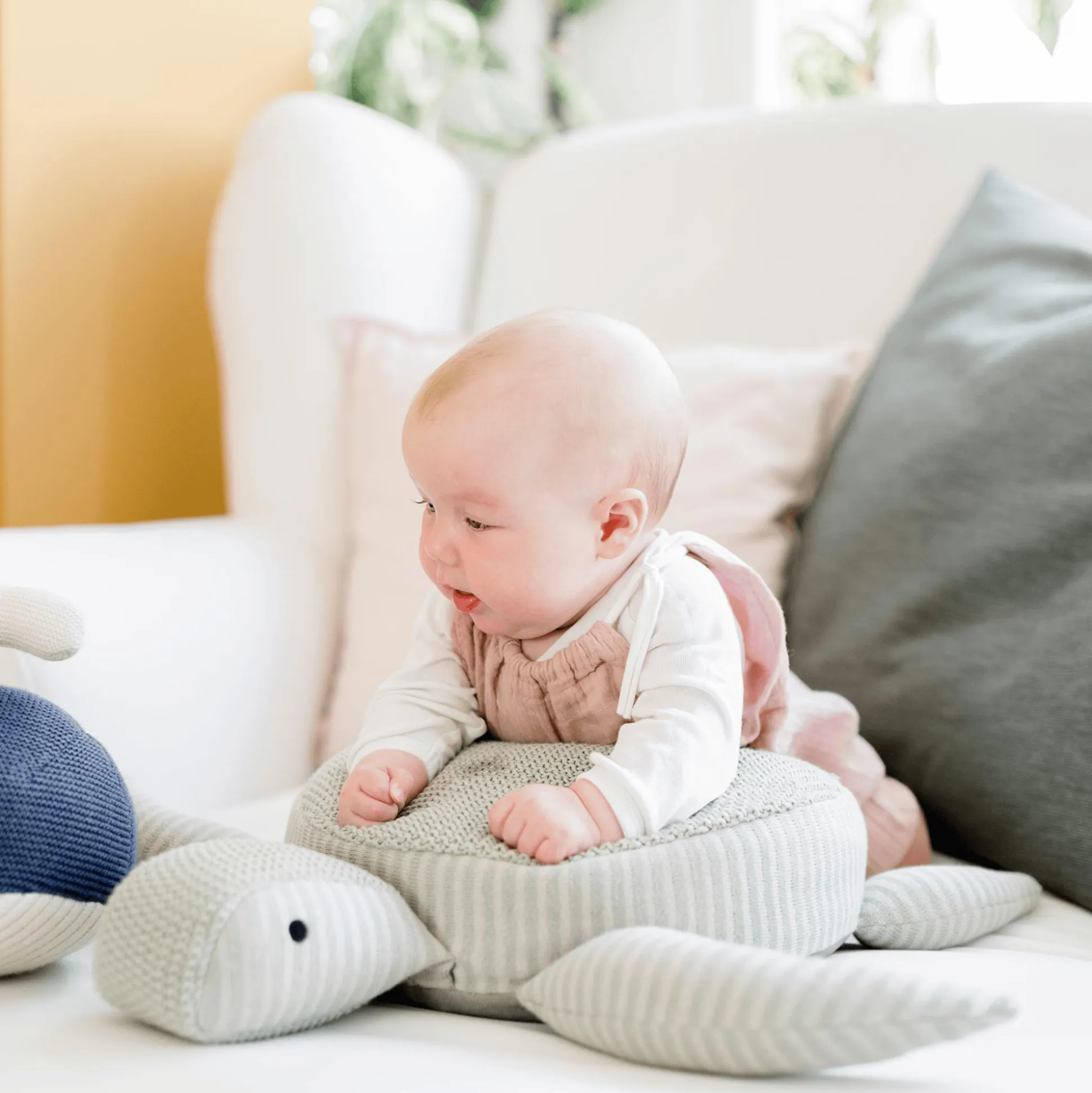 Kuscheltier Schildkröte