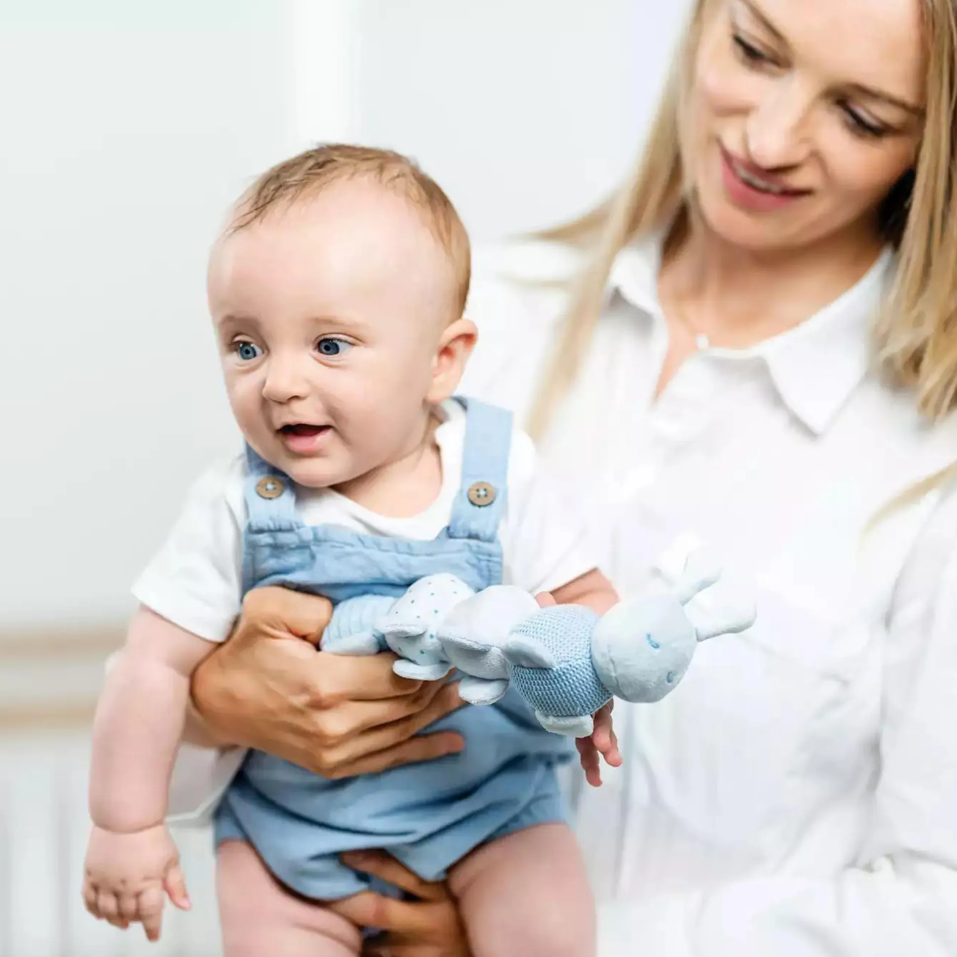 Lapidou Activity Raupe