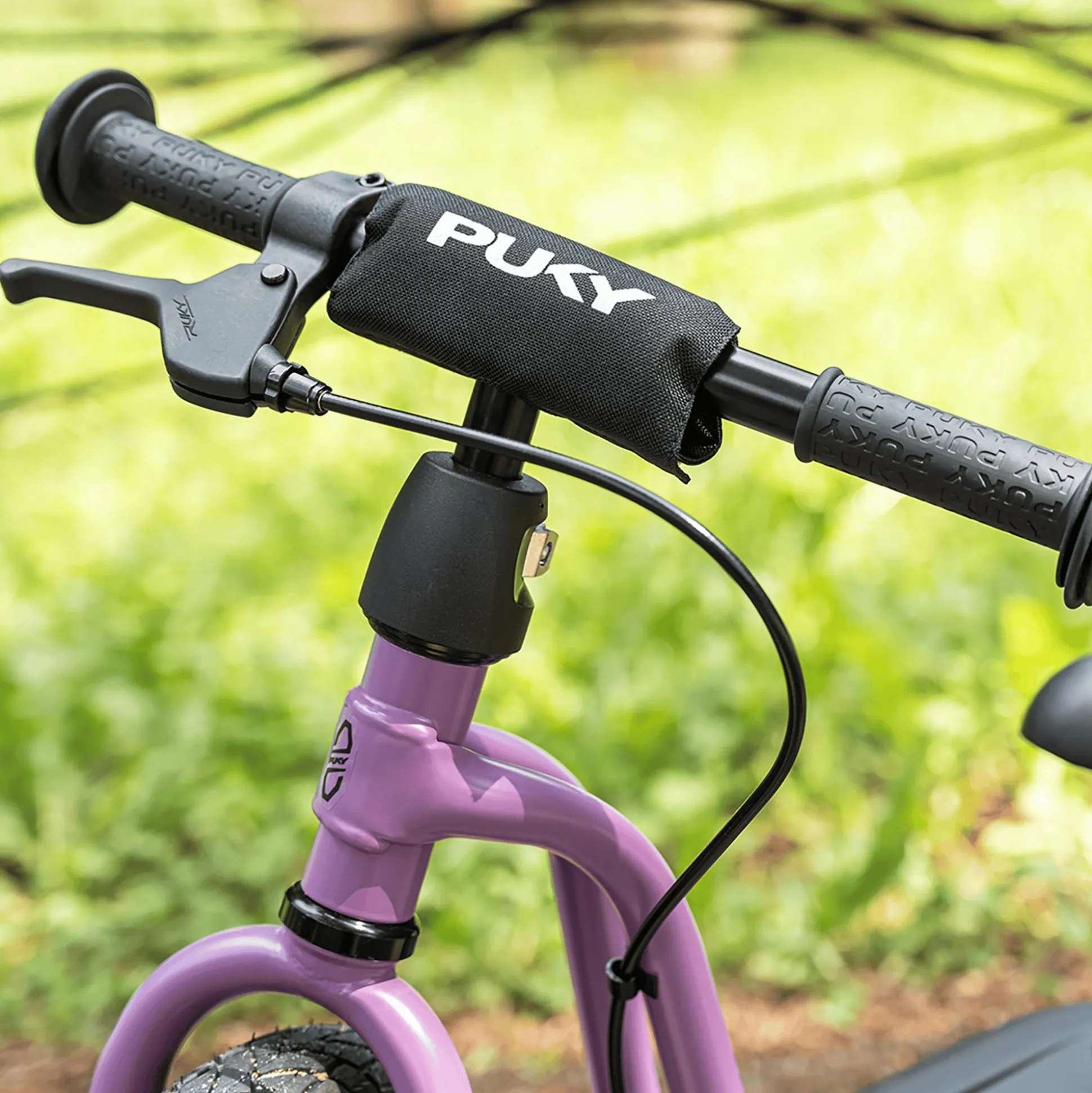 LR 1L BR Perky Purple