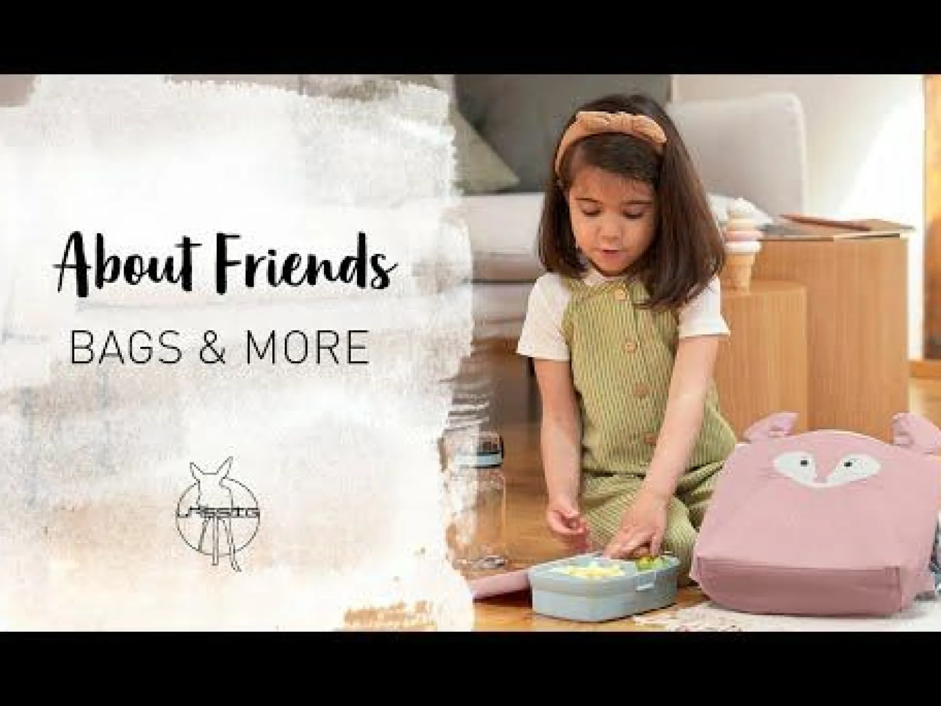 Lunch Set About Friends Dino