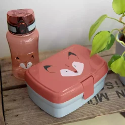 Lunch Set About Friends Fox