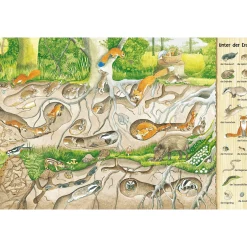 Mein großes Natur-Wimmelbuch