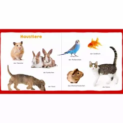 Meine ersten 100 Tiere