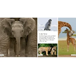 Meine liebsten Tierbabys