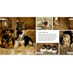 Meine liebsten Tiere auf dem Bauernhof