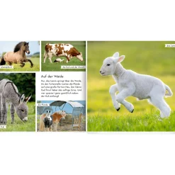 Meine liebsten Tiere auf dem Bauernhof