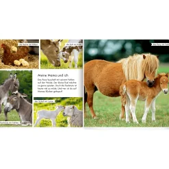 Meine liebsten Tiere auf dem Bauernhof