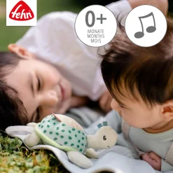 Mini-Spieluhr Schildkröte