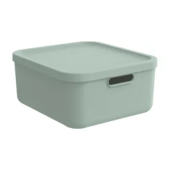 Multi Box M Kayo Grün