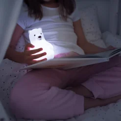 Nachtlicht Lumicolor Bär