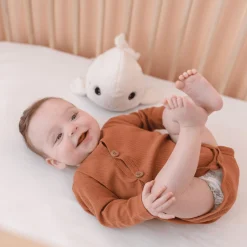 Nachtlicht Pabobo Beluga