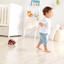 Nachziehkäfer Marie