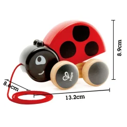 Nachziehkäfer Marie