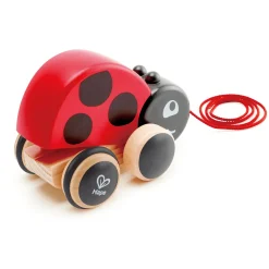 Nachziehkäfer Marie