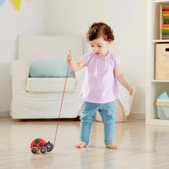 Nachziehkäfer Marie