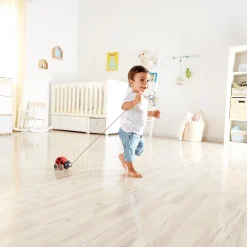 Nachziehkäfer Marie