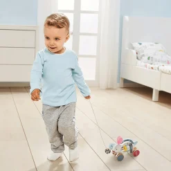 Nachziehtier Hase und Schildkröte