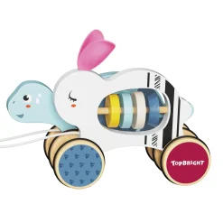 Nachziehtier Hase und Schildkröte