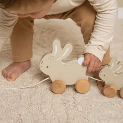 Nachziehtier Kaninchen