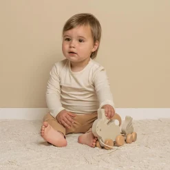 Nachziehtier Kaninchen