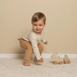 Nachziehtier Kaninchen