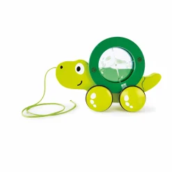 Nachziehtier Schildkröte Tito