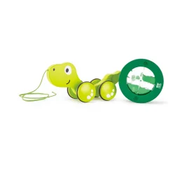 Nachziehtier Schildkröte Tito