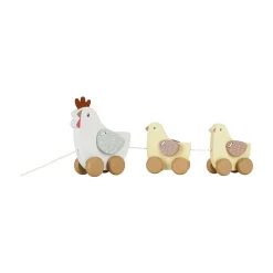 Nachziehtiere Hühner