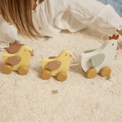 Nachziehtiere Hühner