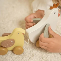 Nachziehtiere Hühner