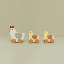 Nachziehtiere Hühner