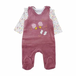 Nicky-Strampler Schmetterling