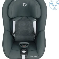 Pearl 360 Authentic Graphite