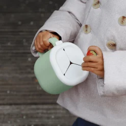 Pick'n Snack Salbeigrün - Silikon Snack Box