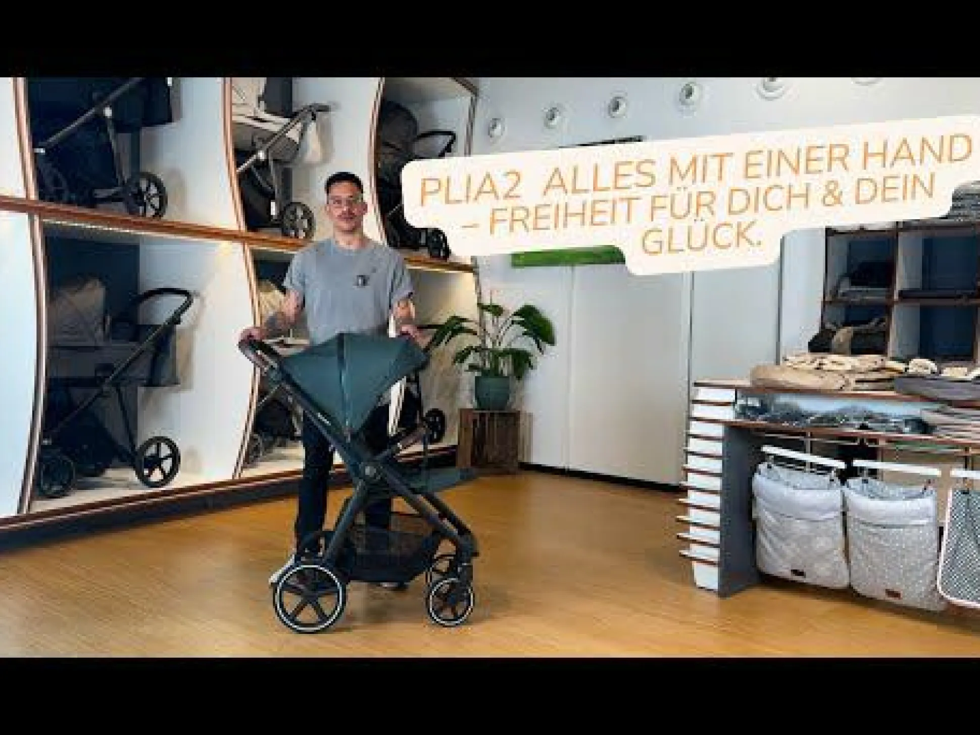 PLIA² Air Pine Forest