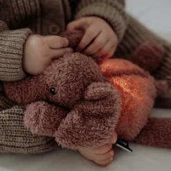 Plüsch-Nachtlicht George