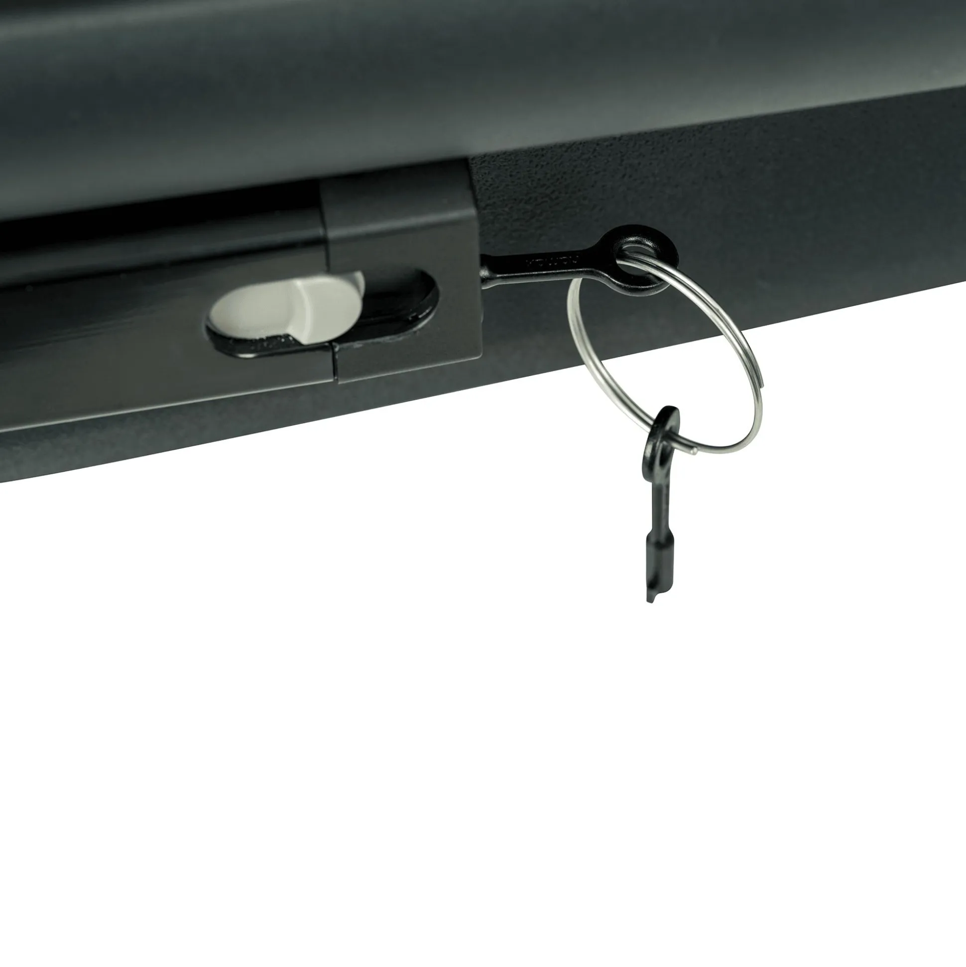 Pluto L Hundefahrradanhänger