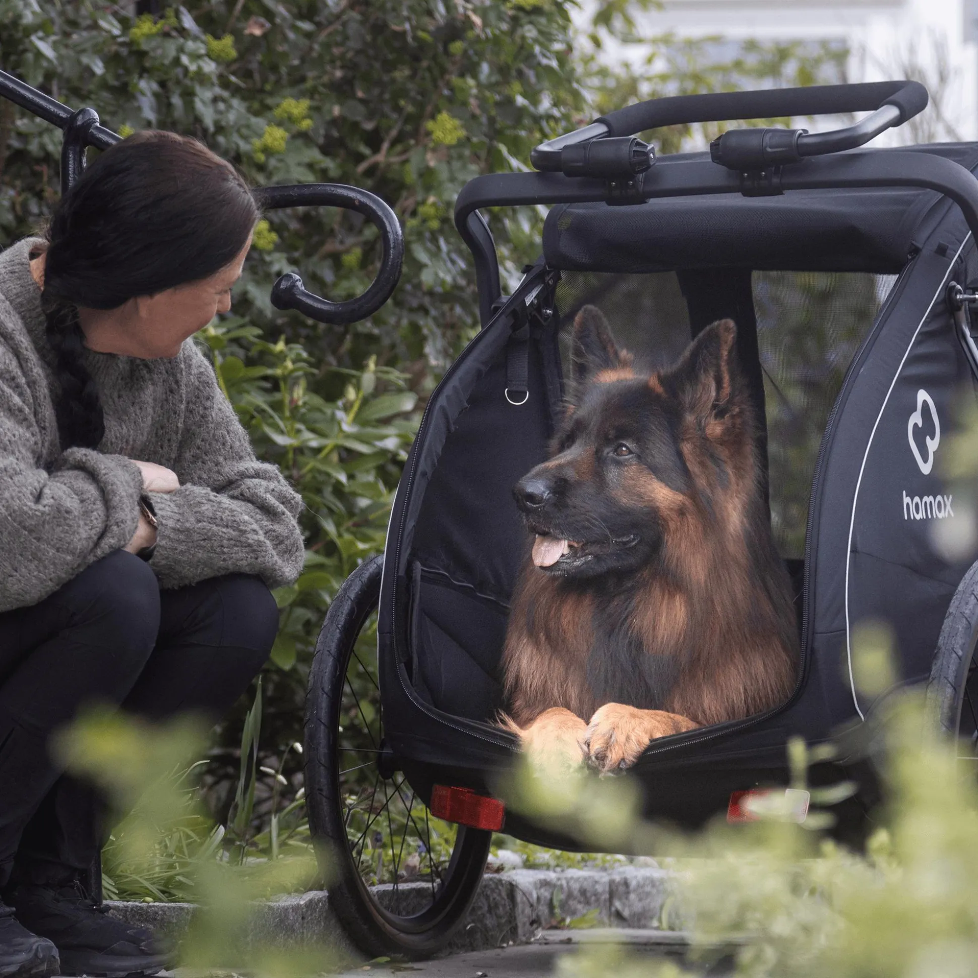 Pluto L Hundefahrradanhänger