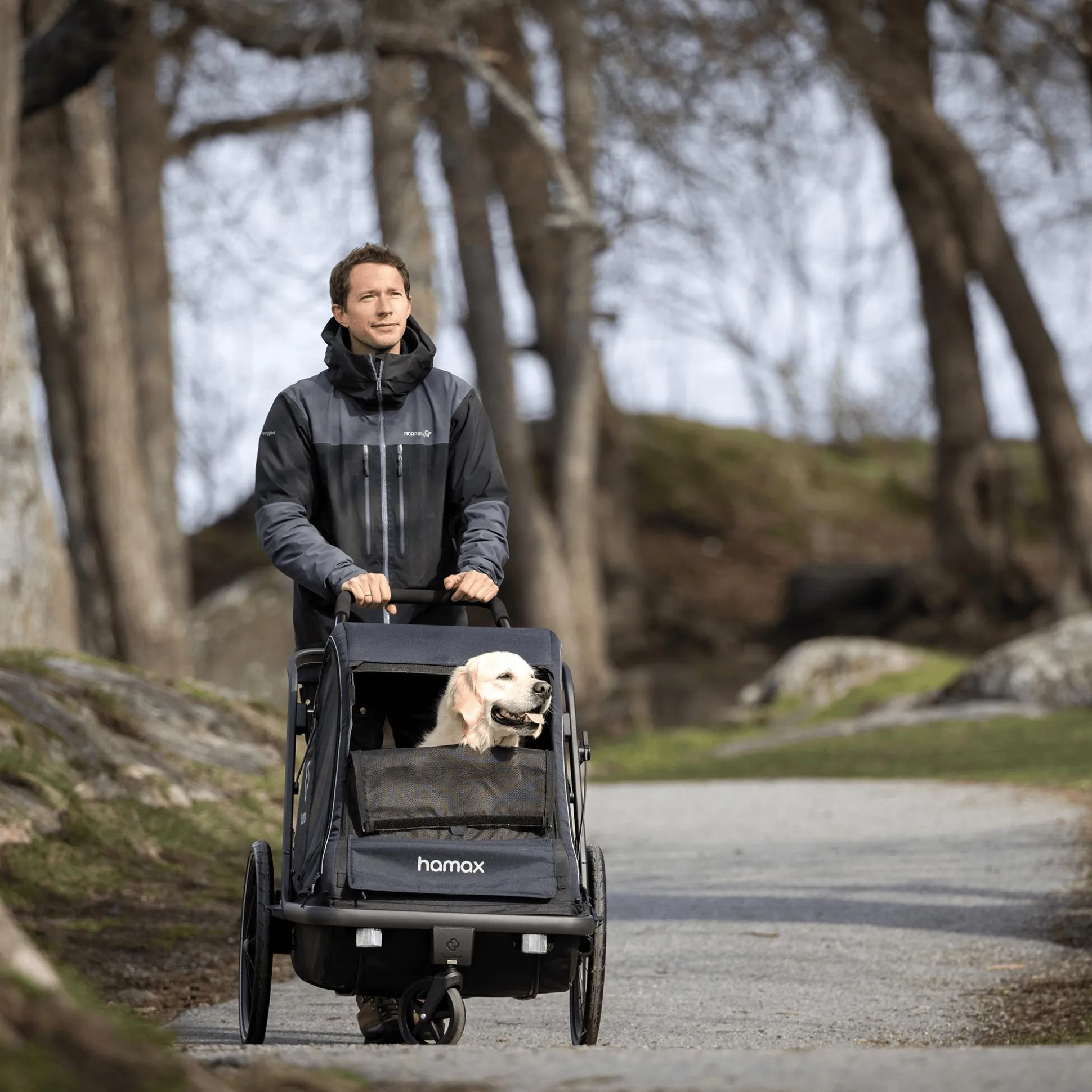 Pluto L Hundefahrradanhänger