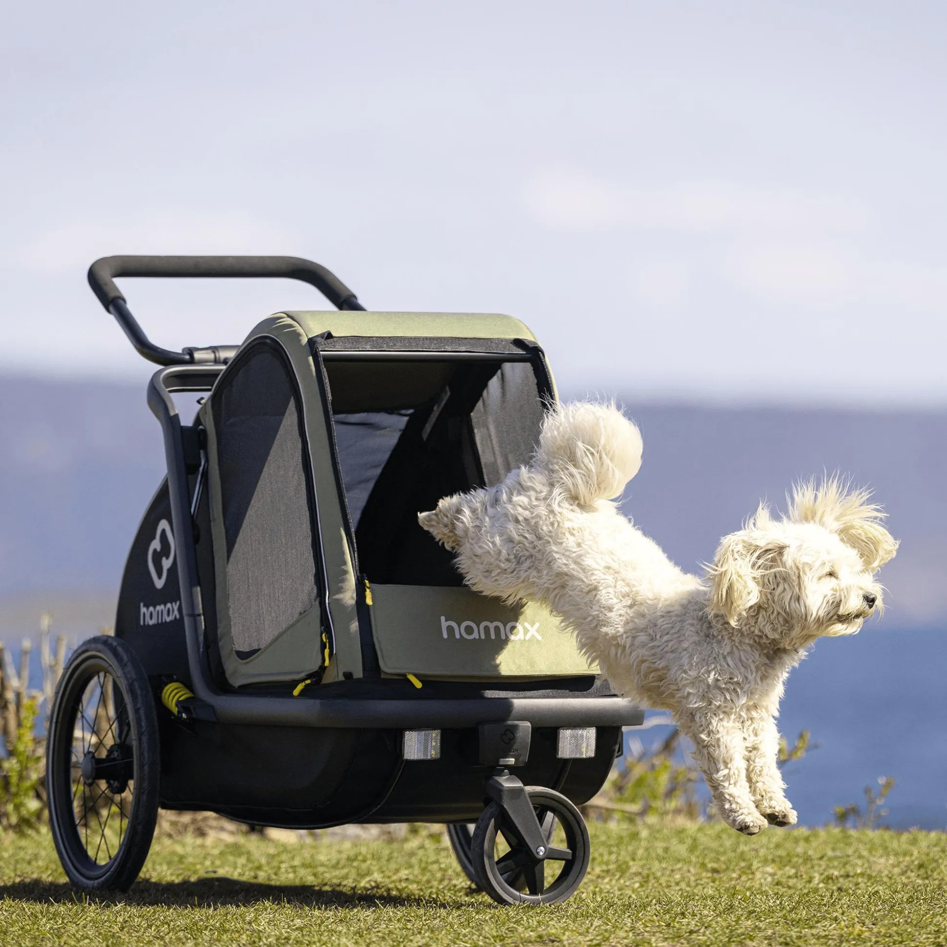 Pluto M Hundefahrradanhänger