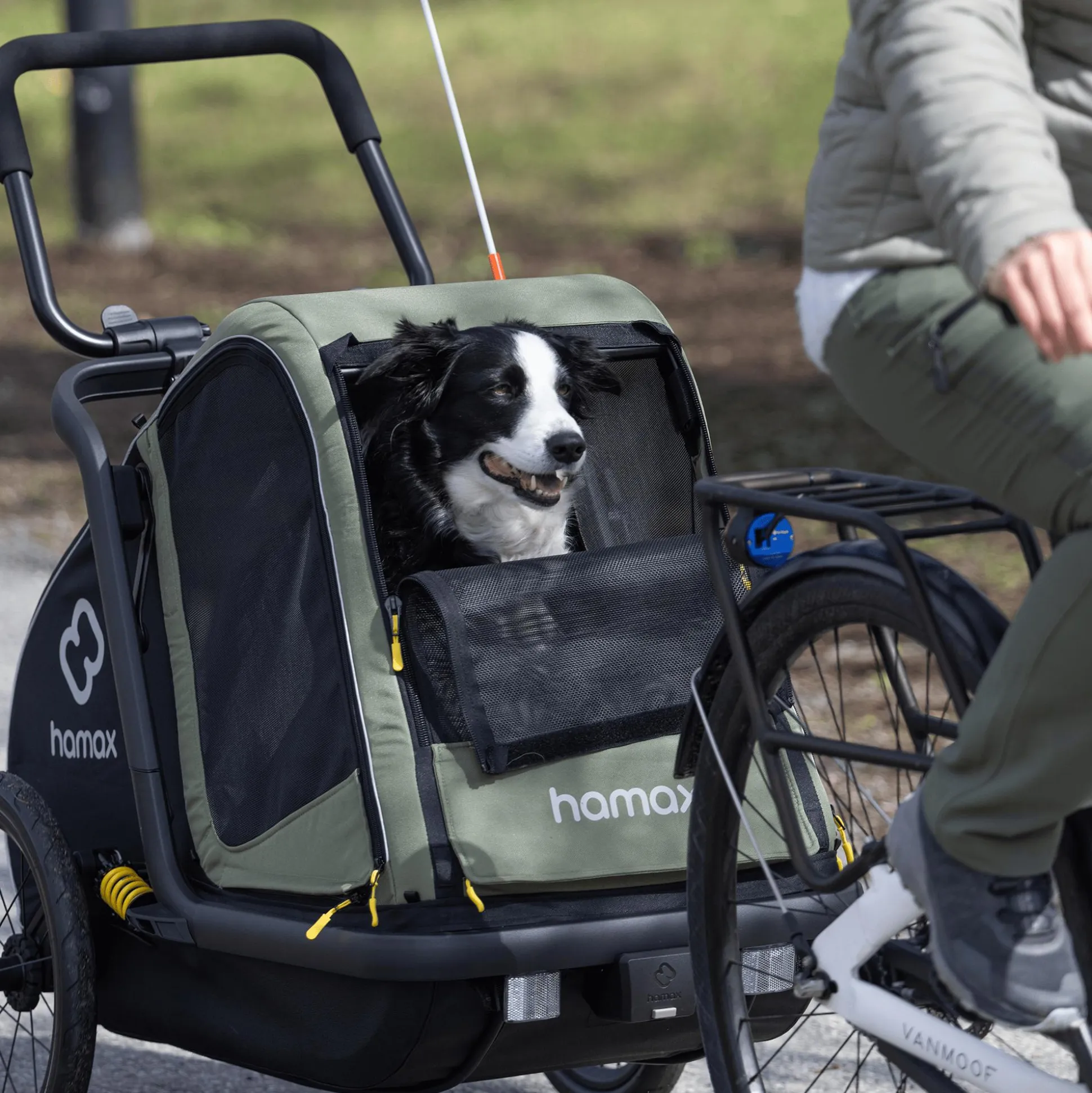 Pluto M Hundefahrradanhänger