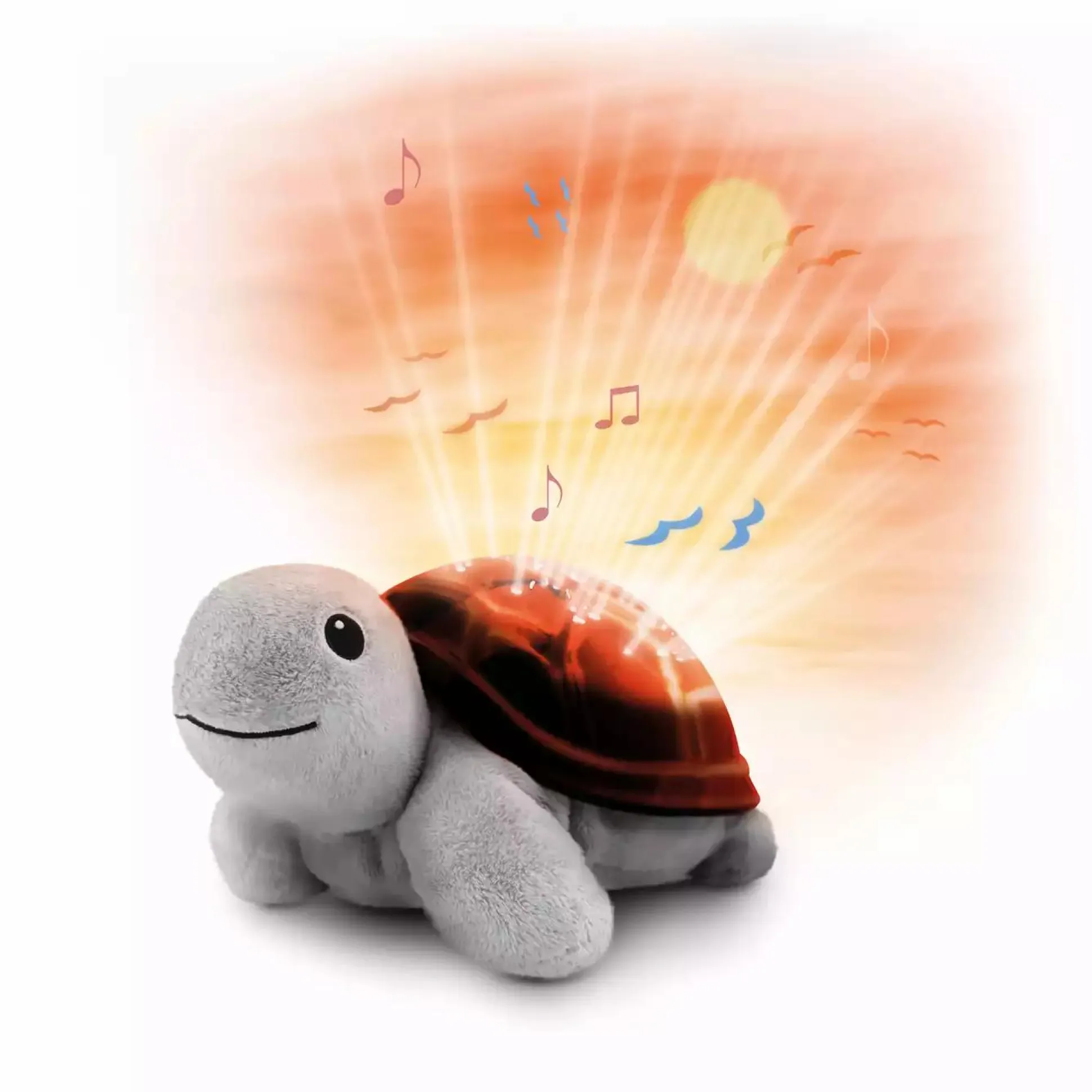 Projektor Tim die Schildkröte