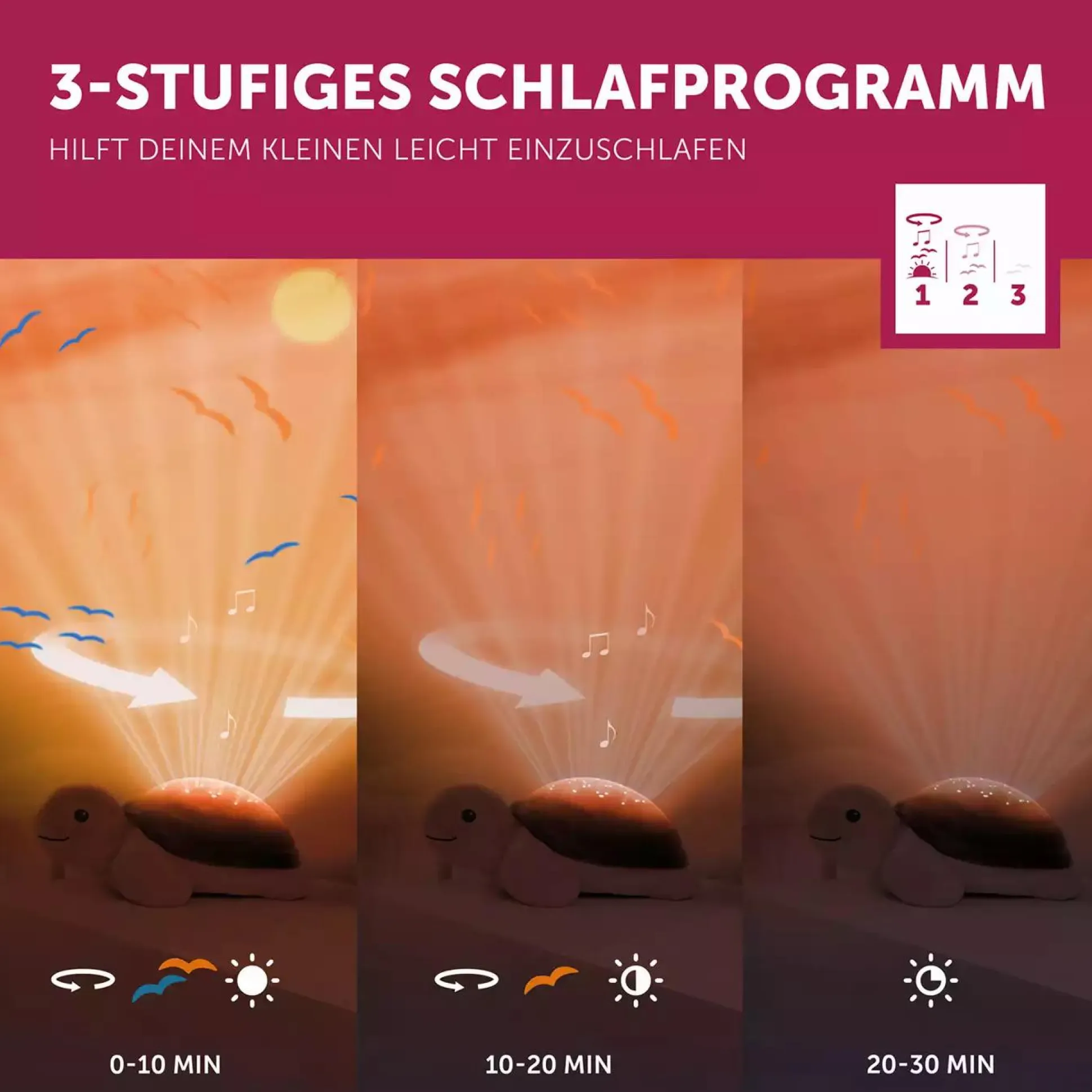 Projektor Tim die Schildkröte